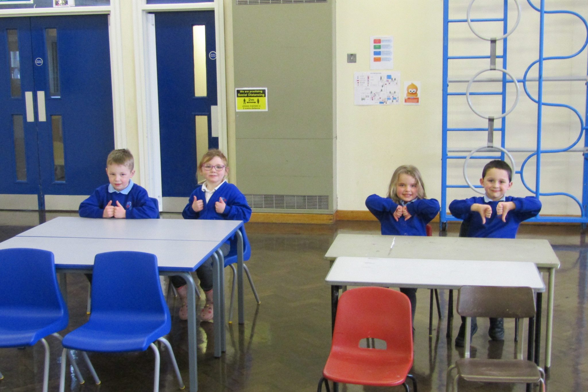 New Furniture for Royd