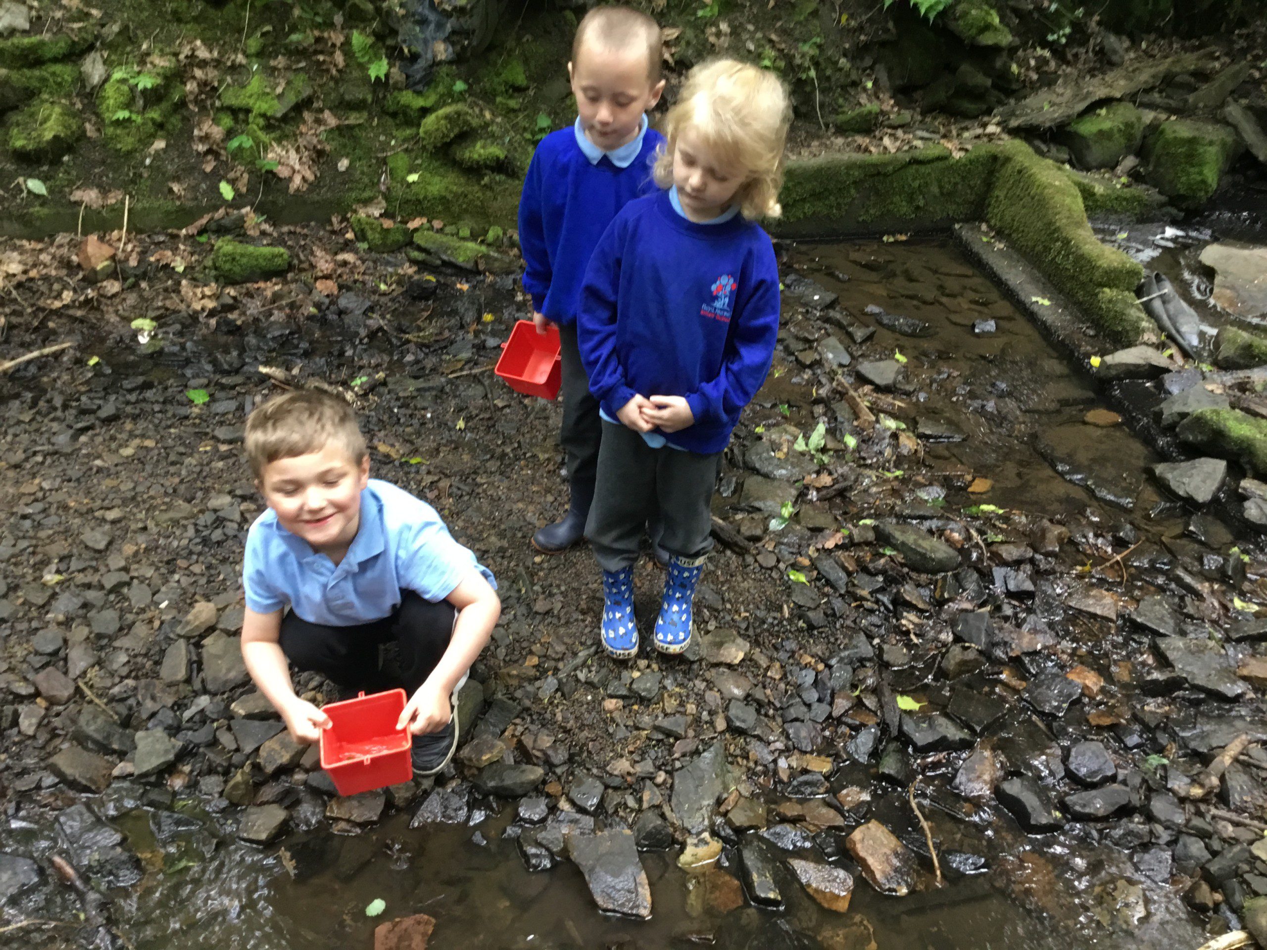 Forest School Tuesday 24 May 22 Day 2