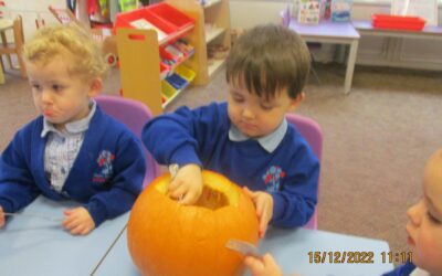 Why do Leaves go Crispy? Nov 2022