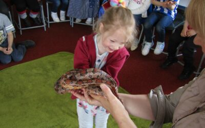 Creature Ark Reception May 2023