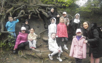 Whirlow Residential Group 1 (Barn) 2023