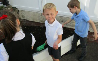 Planting Wildflower Seeds Sept 2023