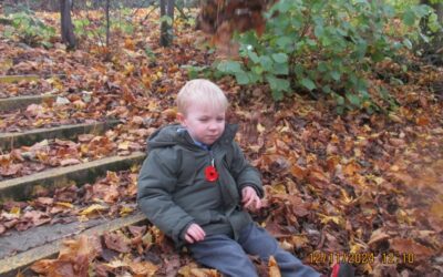 ‘Why do Leaves go Crispy?’