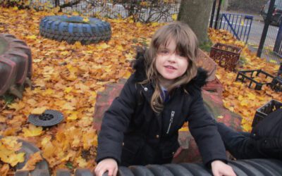 ‘Why do Leaves go Crispy?’