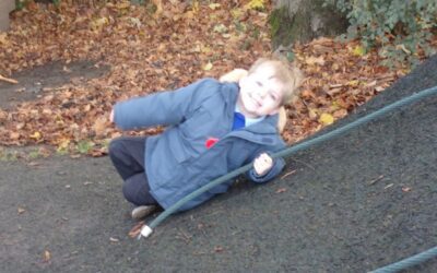 ‘Why do Leaves go Crispy?’