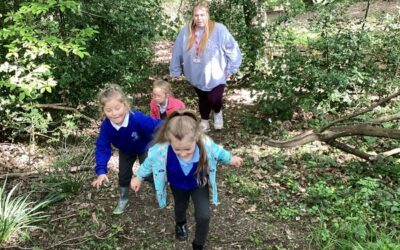 Forest School May 2025 Day 1