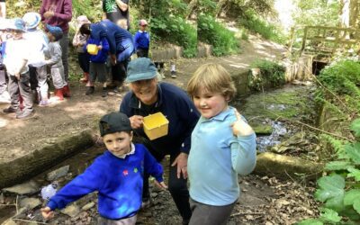 Forest School May 2025 Day 4
