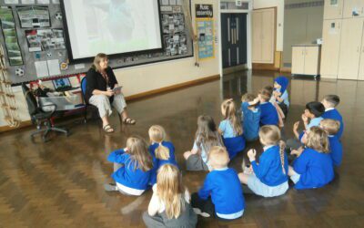 Summer Topic June 2025