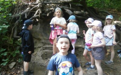 Whirlow Farm June 2025