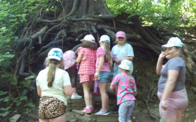 Whirlow Farm June 2025