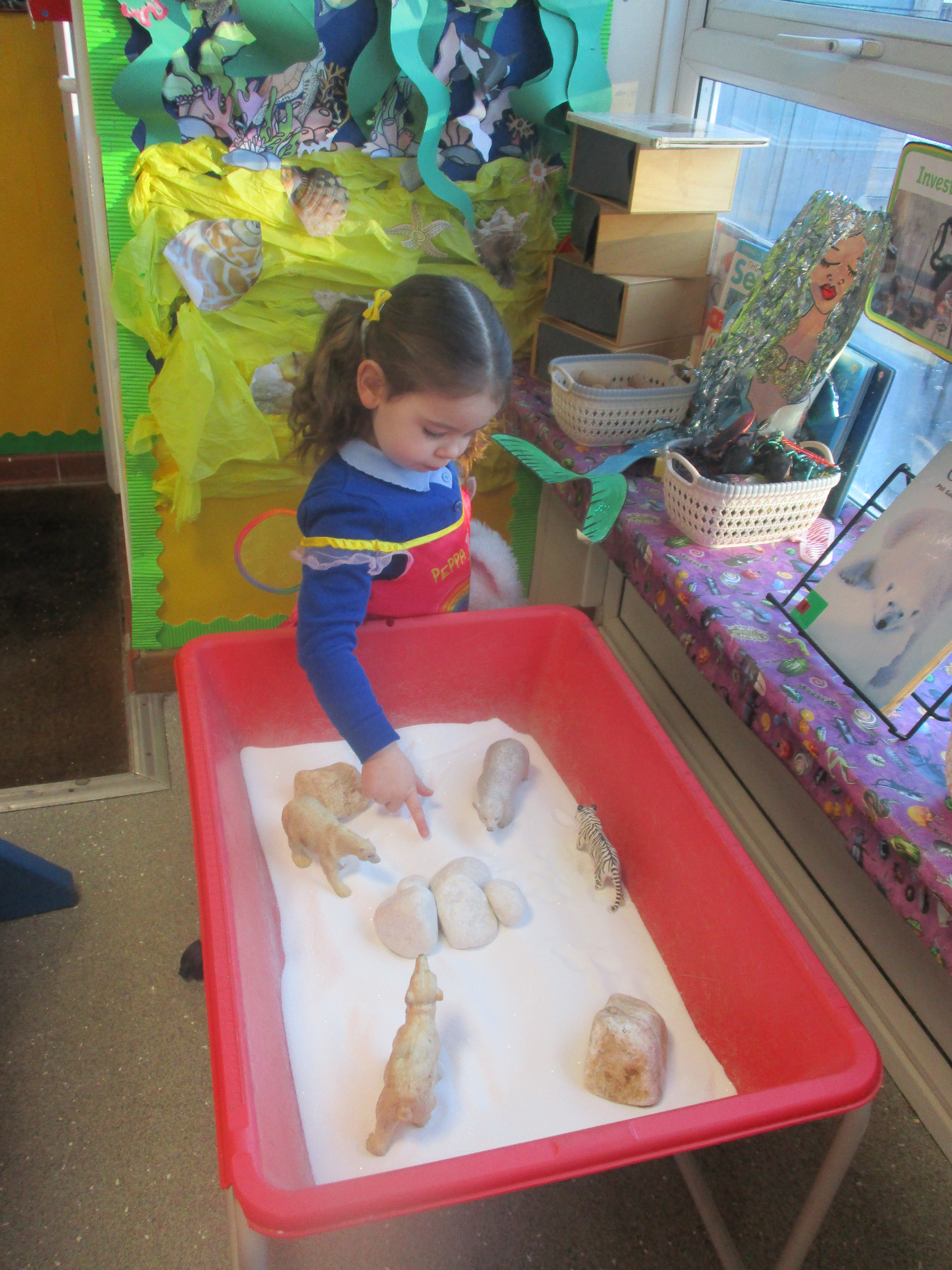 Stay & Play Feb 2026