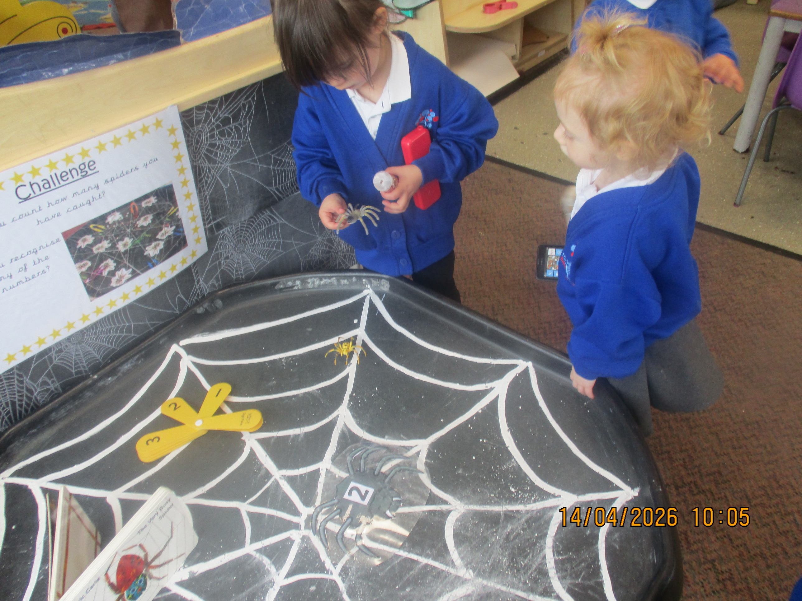 Why do spiders eat flies?