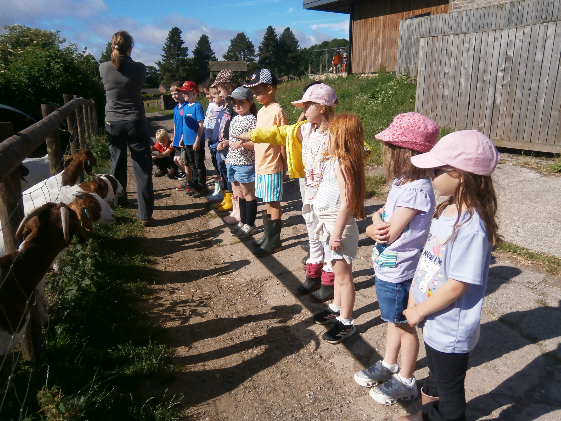 Whirlow Farm June 2026